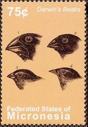 Name:  Darwin's beaks -!- mic200911l.jpg
Views: 266
Size:  13.0 KB