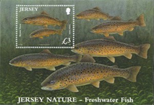 Name:  2b-iFishMS-brown trout-3.0.jpeg
Views: 505
Size:  21.4 KB