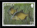 Name:  8b-iFish_common bream-0.72.jpeg
Views: 395
Size:  6.2 KB