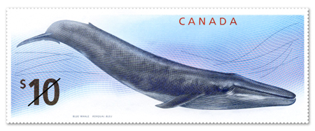 Name:  Whale-Stamp.jpg
Views: 237
Size:  87.1 KB