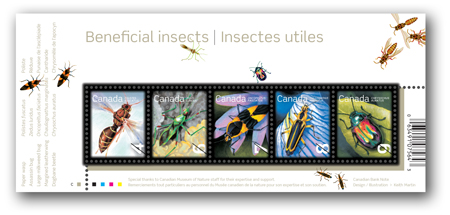 Name:  Beneficial-Insects-Souvenir-Sheet.jpg
Views: 235
Size:  74.7 KB