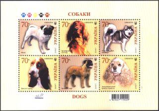 Name:  3-dog 2007.jpg
Views: 290
Size:  18.1 KB