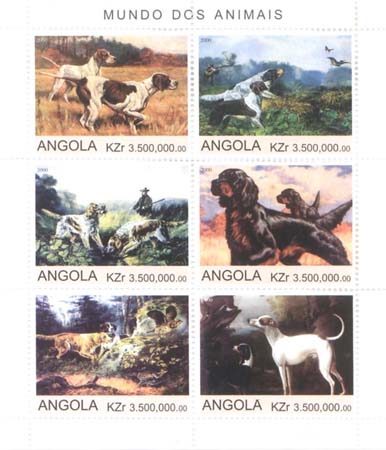 Name:  Angola_Dogs0001.jpg
Views: 467
Size:  32.9 KB