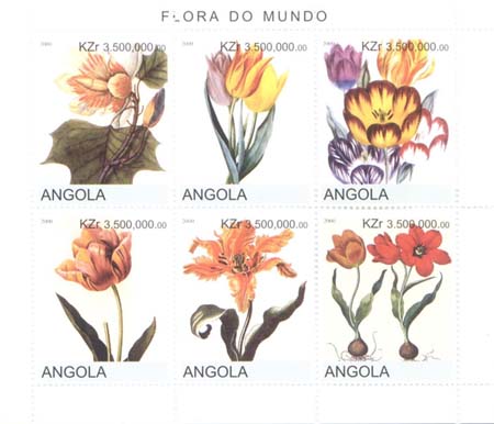 Name:  Angola_Flora0001.jpg
Views: 456
Size:  26.6 KB