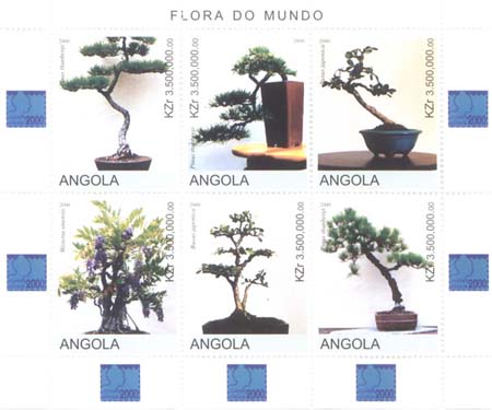 Name:  Angola_Flora0002.jpg
Views: 464
Size:  26.4 KB