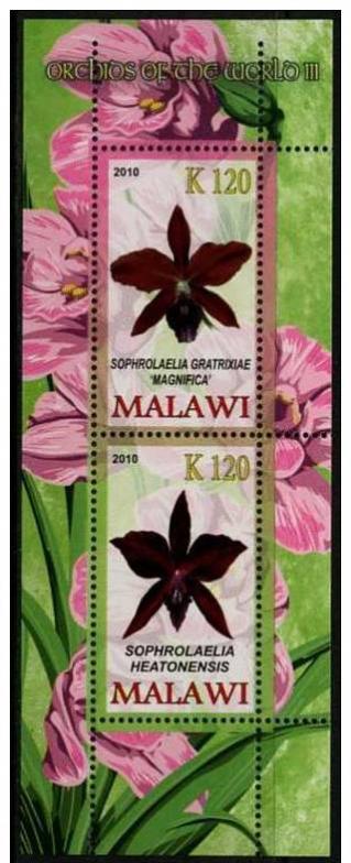 Name:  MALAWI 2010 -1.2.jpg
Views: 247
Size:  50.3 KB