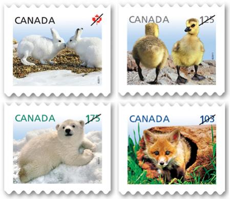 Name:  2011_baby_wildlife_stamps.jpg
Views: 617
Size:  31.3 KB