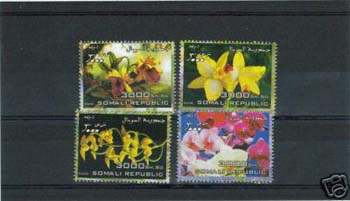 Name:  SomaliRep_Orchids.jpg
Views: 290
Size:  13.6 KB