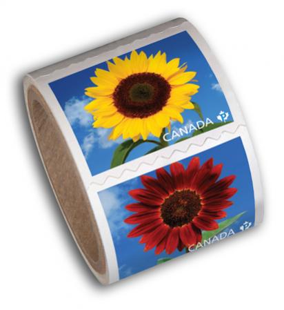 Name:  2011_sunflowers_coil50.jpg
Views: 495
Size:  21.6 KB