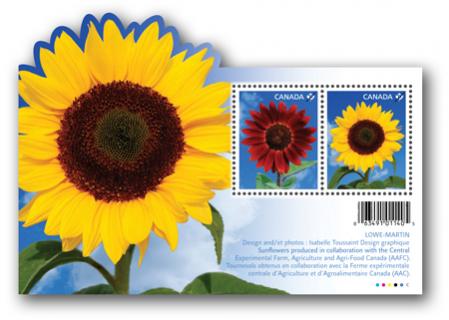 Name:  2011_sunflowers_ss.jpg
Views: 502
Size:  24.2 KB