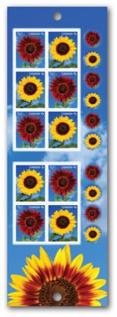 Name:  2011_sunflowers_booklet10.jpg
Views: 380
Size:  18.7 KB