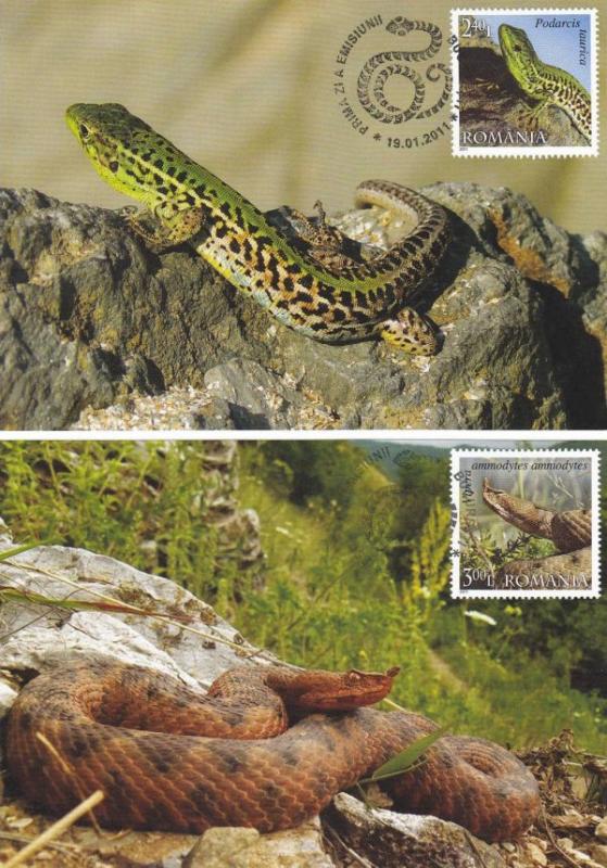 Name:  romania-1887-snakes-mc1.jpg
Views: 502
Size:  94.4 KB