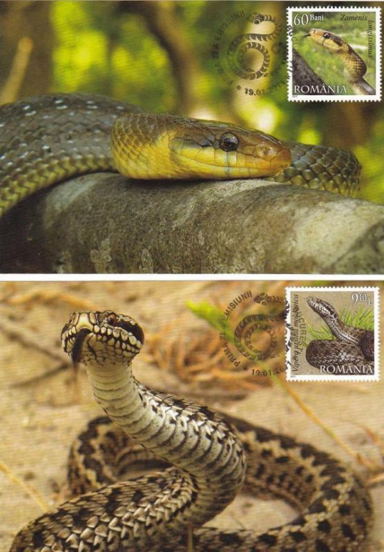 Name:  romania-1887-snakes-mc22.jpg
Views: 471
Size:  76.1 KB