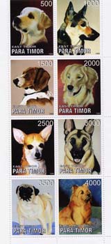 Name:  ParaTimor_Dogs.jpg
Views: 246
Size:  15.5 KB
