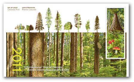 Name:  2011_international_year_of_forests_ofdc.jpg
Views: 331
Size:  30.0 KB
