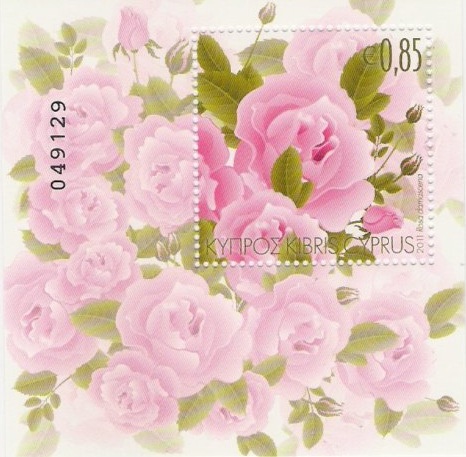 Name:  rose cyprus 2011 ss.jpg
Views: 438
Size:  79.6 KB