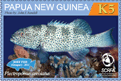 Name:  grouper11_k5.gif
Views: 297
Size:  8.7 KB