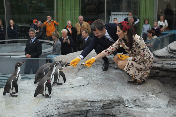 Name:  Frederik-Mary-penguins.jpg
Views: 334
Size:  88.1 KB
