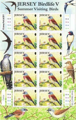 Name:  6a.iSummerBirds_79sh.jpeg
Views: 278
Size:  72.9 KB