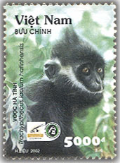 Name:  Voov Hà Tĩnh - thulinhtruongoVN 2002.jpg
Views: 1553
Size:  24.5 KB