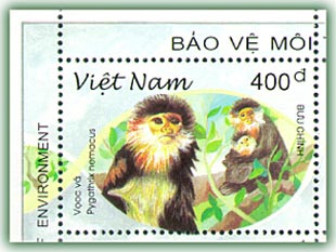 Name:  vooc va  - baovemoitruong 1996.jpg
Views: 1169
Size:  31.4 KB