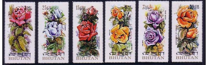 Name:  rose bhutan.jpg
Views: 299
Size:  62.2 KB