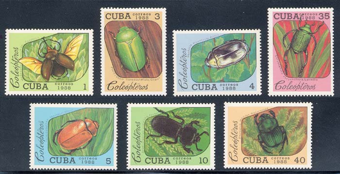 Name:  tem cuba1988.jpg
Views: 318
Size:  57.1 KB