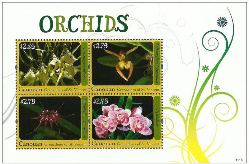 Name:  Canouan St. Vincent 2011 Orchids of Africa -2.jpg
Views: 224
Size:  78.2 KB