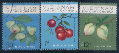 Name:  bai viet.9.jpg
Views: 496
Size:  17.7 KB