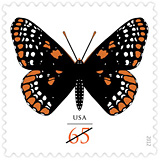 Name:  12_baltimore-checkerspot.jpg
Views: 420
Size:  15.0 KB