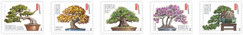 Name:  12_bonsai.jpg
Views: 475
Size:  22.6 KB