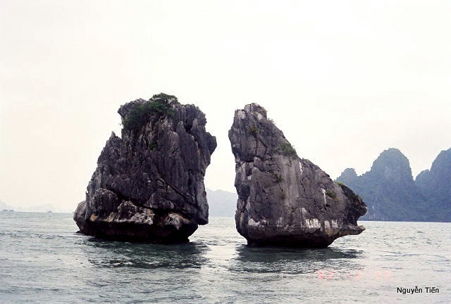 Name:  013-Vinh Ha Long-17.jpg
Views: 458
Size:  57.1 KB