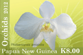 Name:  orchids12_k8.gif
Views: 242
Size:  8.1 KB
