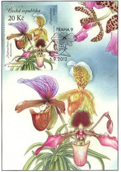 Name:  Czech Republic ORCHIDS 2012-4.jpg
Views: 400
Size:  47.2 KB