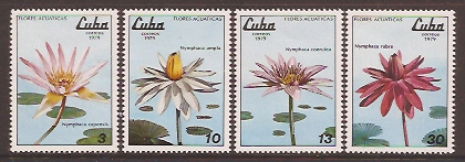 Name:  368- hoa 1979 Cuba - 37k.jpg
Views: 540
Size:  67.3 KB