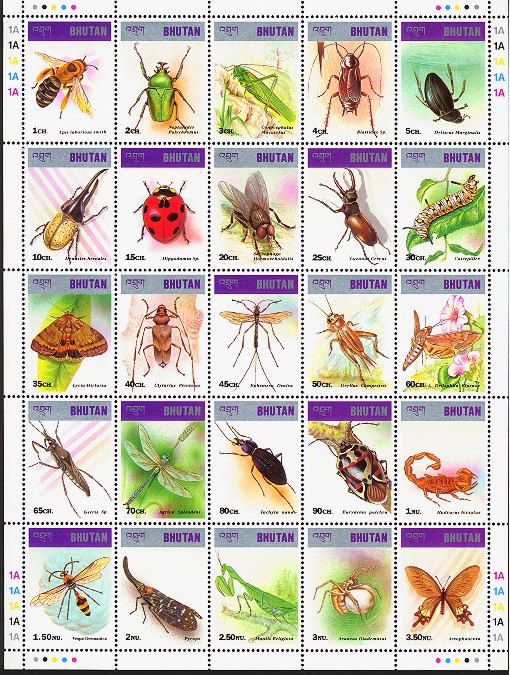 Name:  bhu9702co-25insects.jpg
Views: 4952
Size:  145.9 KB