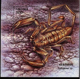 Name:  tan9447ss-scorpion.jpg
Views: 3652
Size:  51.0 KB