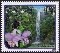 Name:  Salvador1.jpg
Views: 293
Size:  45.3 KB