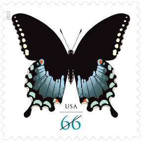 Name:  13-spicebush-swallowtail.jpg
Views: 663
Size:  18.9 KB