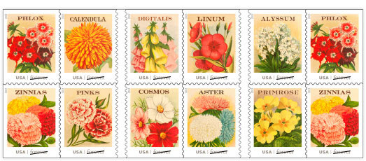 Name:  13-vintageseedpacket.jpg
Views: 270
Size:  54.8 KB