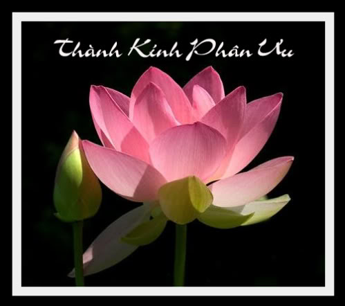 Name:  thanh kinh phan uu.jpg
Views: 6336
Size:  27.7 KB