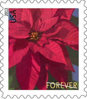 Name:  13-poinsettia.jpg
Views: 610
Size:  43.8 KB