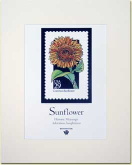 Name:  Sunflower-Poster.jpg
Views: 1406
Size:  7.7 KB