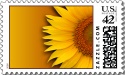 Name:  tl-sunflower_postage_stamp.jpg
Views: 844
Size:  7.8 KB