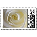 Name:  creamy_white_rose_postage-p172498149025793195l_125.jpg
Views: 775
Size:  7.1 KB