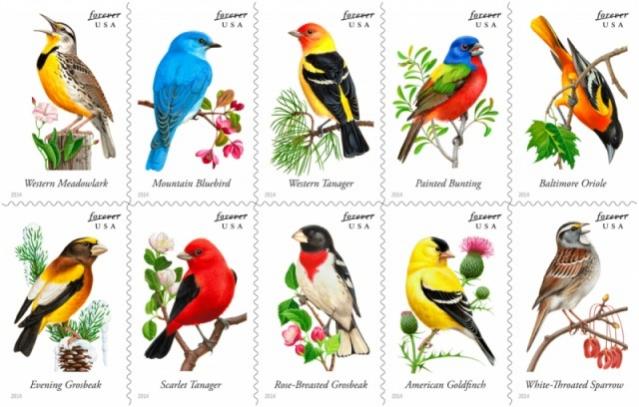 Name:  14-SongbirdsBlock.jpg
Views: 318
Size:  46.5 KB