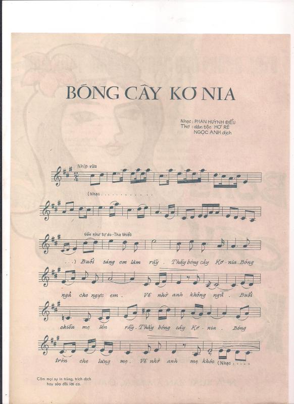 Name:  bong cay koni 1.jpg
Views: 749
Size:  62.6 KB