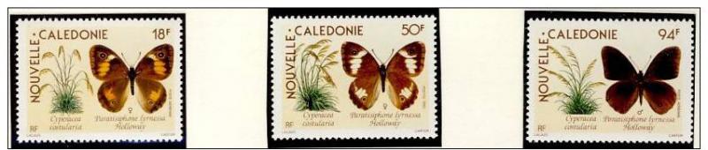 Name:  18- NEW CALEDONIA 1990 BUTTERFLIES MNH - 80k.jpg
Views: 651
Size:  30.2 KB