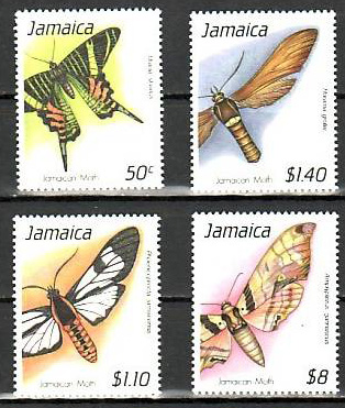 Name:  42-JAMAICA 1989 BUTTERFLIES MNH - 165K.jpg
Views: 852
Size:  98.0 KB