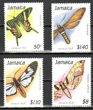 Name:  42-JAMAICA 1989 BUTTERFLIES MNH - 165K.jpg
Views: 833
Size:  98.0 KB